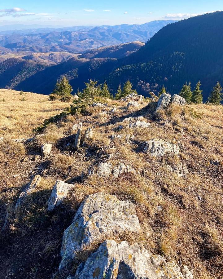 Ivkovic Spa Milmari N16 Kopaonik Exterior foto